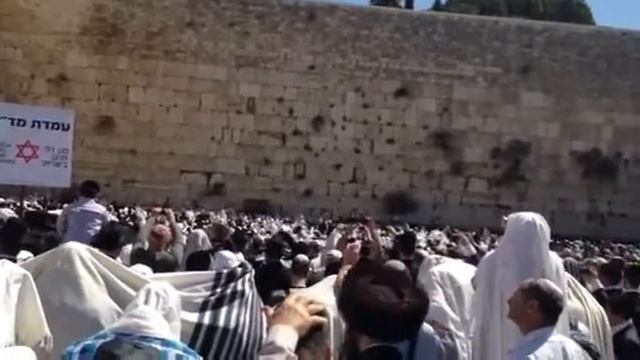 Биркат Коаним Песах 5773 смотреть онлайн