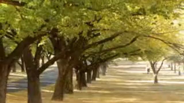 CARMEN RADULESCU My Way смотреть онлайн