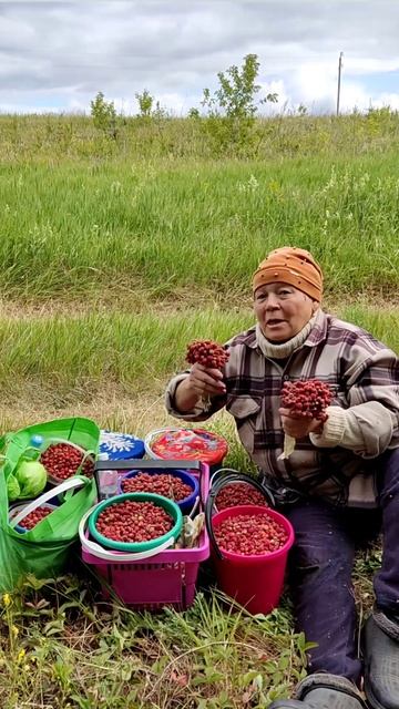 Ягоды - на заморозку, на варенье на кОмПоТ 🍓🍓🍓