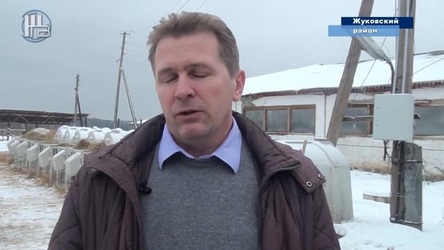 "День молока" - агрокомплекс "Победа" смотреть онлайн