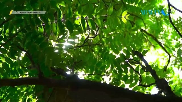 Сенің кінәң жоқ еді… (Арайлым Мұраталиева) смотреть онлайн