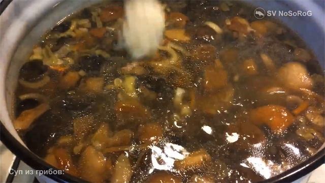 Лесные пейзажи