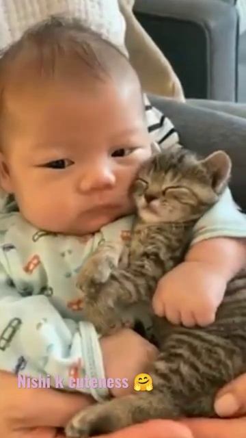 Cute baby fun with cute kitten 🤗🤗🤗❣️❣️🤗🤗//amazing innocent love ❣️😘😘😘//#shorts смотреть онлайн