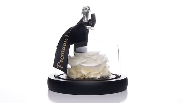 Premium Eternal White Rose 360-Degrees Rotating Product Video смотреть онлайн