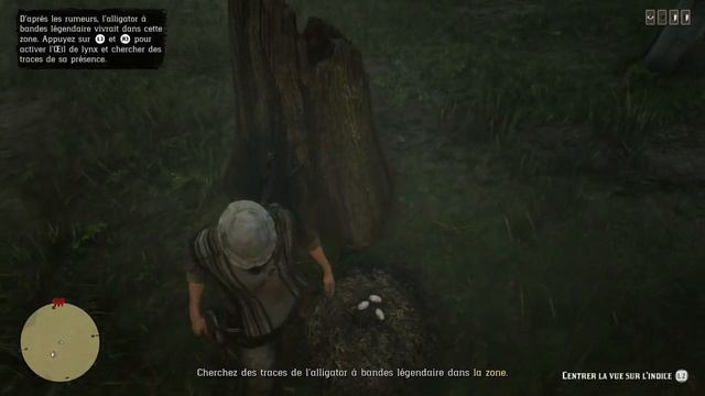 ALLIGATOR À BANDES LEGENDAIRE MISSION NATURALISTE RED DEAD ONLINE смотреть онлайн