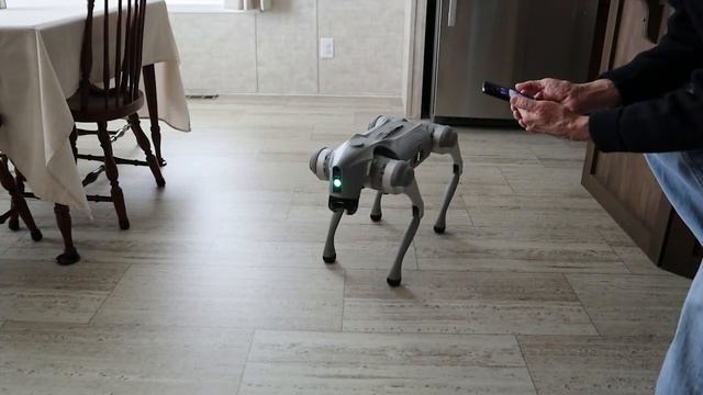 Unitree Go2 Pro Bobbie Walks