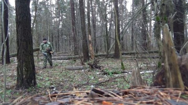 XP Deus и X terra, поиск в лесу