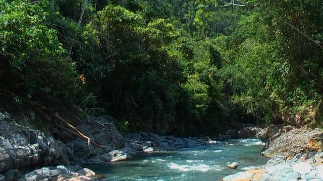 The Lowlands in Yungas part two смотреть онлайн