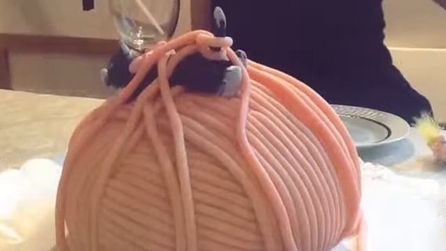 Всем любителям кошек для поднятия настроения (Created with смотреть онлайн