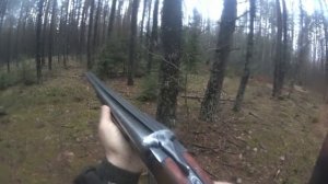 Охота на зайца беляка с гончими.#охотаназайца#охотасгончеми#