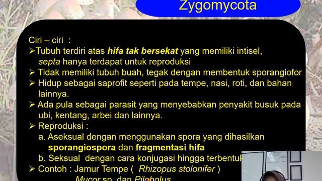 Fungi (Jamur) смотреть онлайн