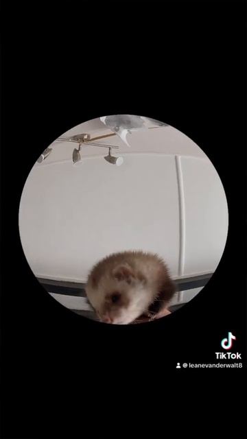 19 June 2024 смотреть онлайн