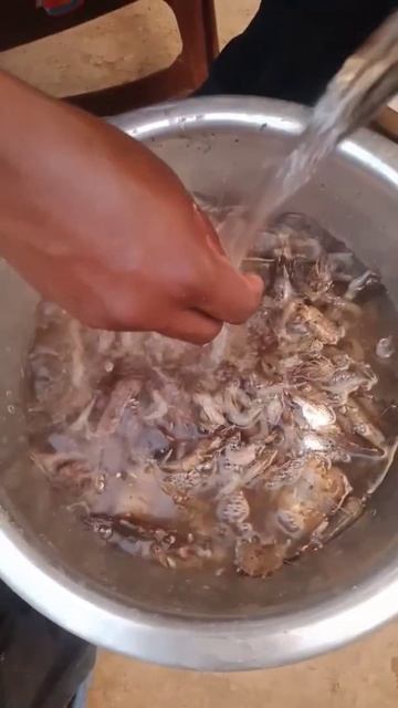 #shorts || 🐠tiny fish from village River🤪 || смотреть онлайн
