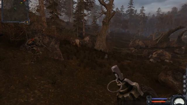 ЧН 12 Грибы и ягоды