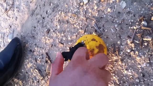 It was a rotten orange....ps смотреть онлайн