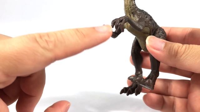 Mattel Jurassic World Protoceratops, Proceratosaurus & Minmi Attack Packs Review смотреть онлайн