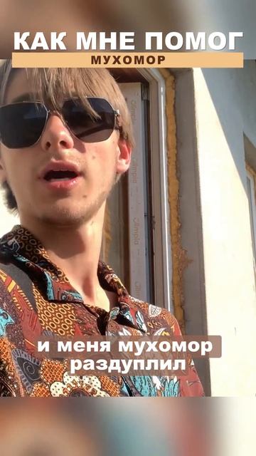 как мне помог мухомор