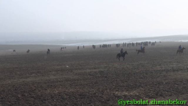 Түркістан облысы Ордабасы ауданы Көктөбе ауылы 2000-жылғы жігіттердің елден бата алу көкпары 2023жы смотреть онлайн