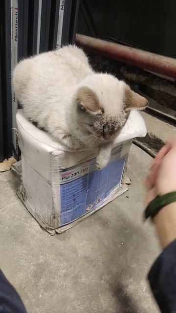 Standoff 2 и Звёздочка 🌟🌟🌟🌟🌟🌟🔯🔯🔯🔯 смотреть онлайн