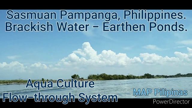 SASMUAN PAMPANGA AQUACULTURE BUSINESS. "A very lucrative business". https://fb.watch/e8Ces0KoE4/ смотреть онлайн