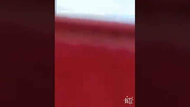 Утка переходит дорогу с утятами смотреть онлайн