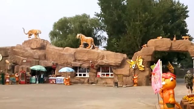 прибыли в сафари парк с тиграми и прочими хищными кошками смотреть онлайн