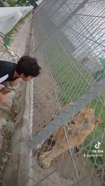 19 August 2022 смотреть онлайн