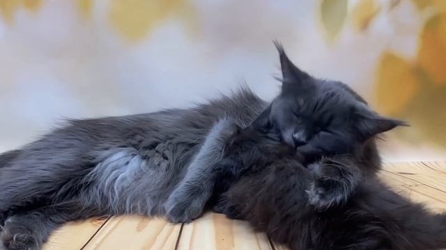 От Калины смотреть онлайн