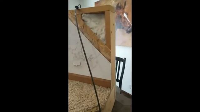 Showing the strength of a Schult built wall смотреть онлайн