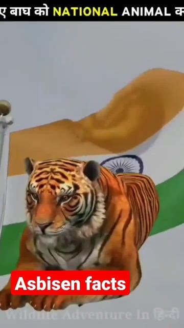 kyu banaya tiger ko national animal смотреть онлайн