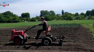 ОКУЧНИКИ НА КОЛЕНКЕ. Окучиваю картофель МОТОБЛОКОМ С АДАПТЕРОМ