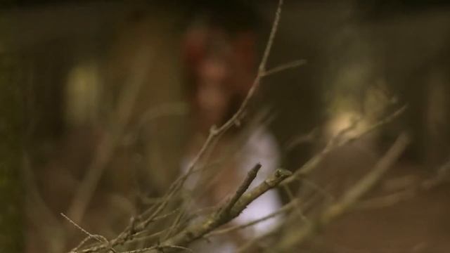 Душа природы. Cities Dreams. ART VIDEO смотреть онлайн