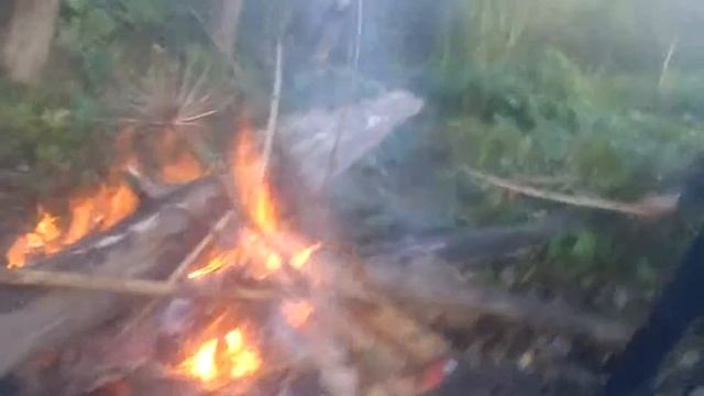 31 октября 2015 г. смотреть онлайн