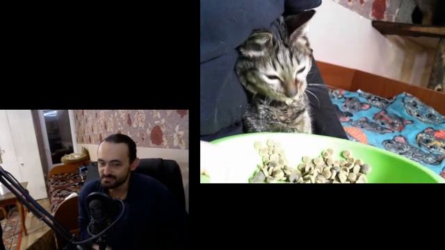 Чуня LIVE * СТРИМ! 14.11.2020 смотреть онлайн