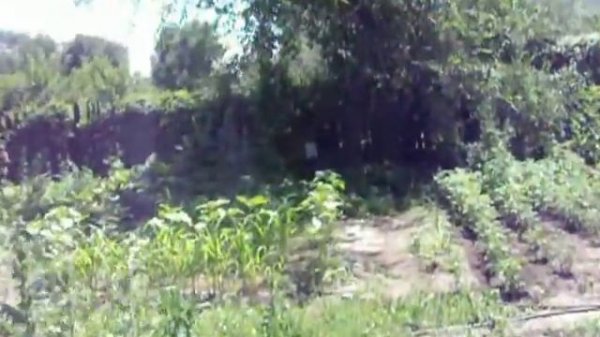 Cometa Fusion S-Star cal.4.5