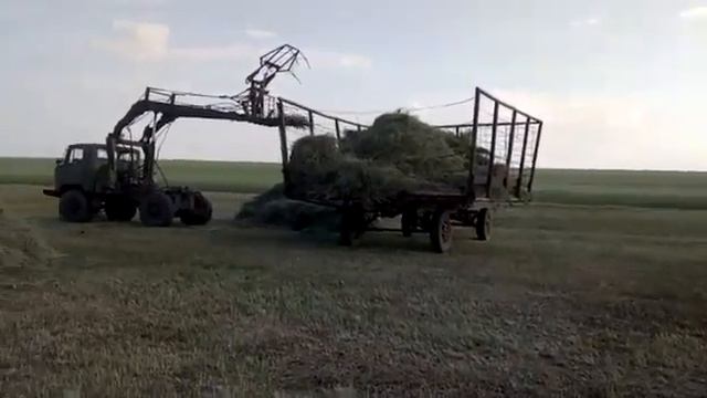 Сенокос смотреть онлайн