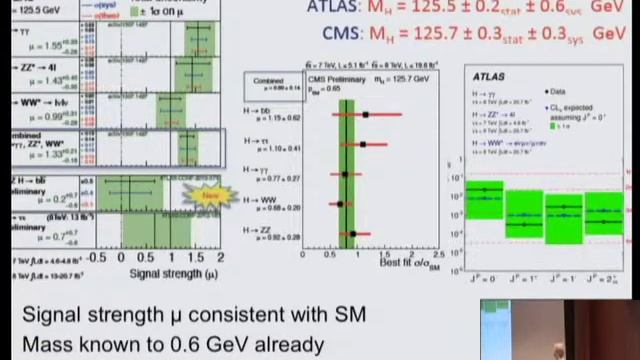 Future of the LHC | Beate Heinemann смотреть онлайн