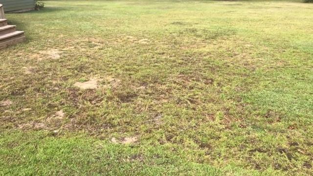 IMPROVE CLAY SOIL - 5 Step Strategy to better grass growth and drainage смотреть онлайн