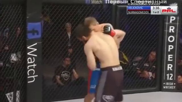 Брат Хабиба Нурмагомедова уничтожил своего соперника!!! смотреть онлайн