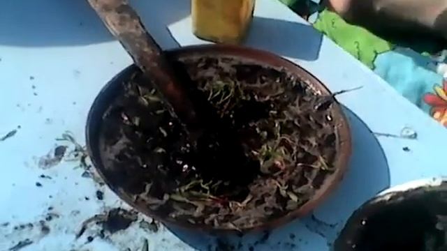 ИСТОРИЯ ПРО ЩИ смотреть онлайн