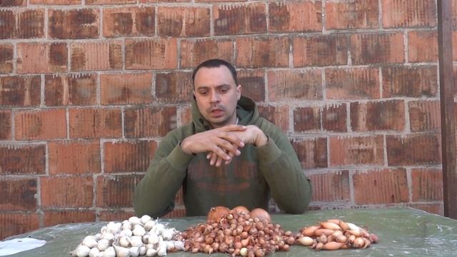 Тиканка найкращих сортів цибулі для сезону 2024