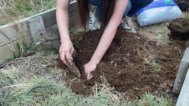 ПРАВИЛА ПОСАДКИ 🫐 ГОЛУБИКИ смотреть онлайн