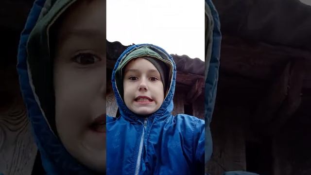 Мая собака Марс 🥰 смотреть онлайн