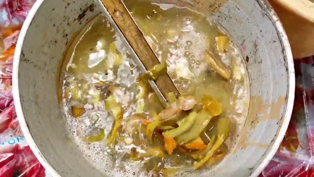 Prepare Best Quality Liquid Fertilizer from Vegetable Peels . Kitchen waste liquid Fertilizer смотреть онлайн