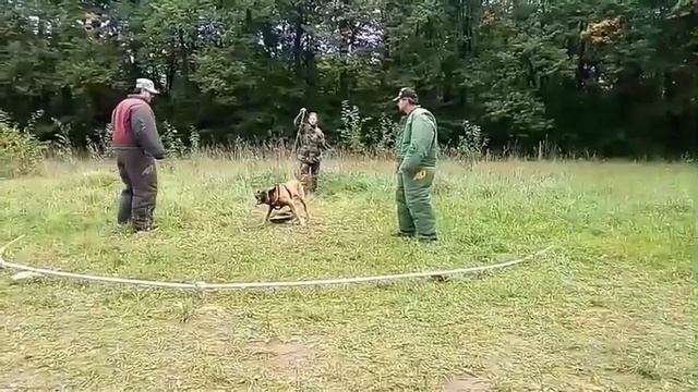 Альтаир. Охрана вещи. Тренировка 8 смотреть онлайн