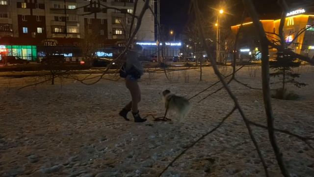 Смотрим прогресс Марса #5 смотреть онлайн