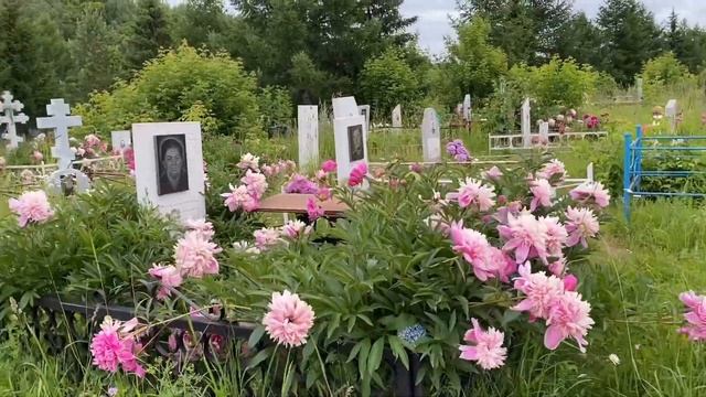 Некро. Погружение - Айгуль смотреть онлайн