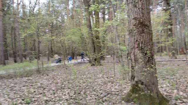 среди цветов смотреть онлайн