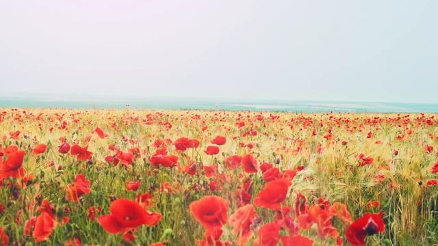 SUPER RELAX!!! - ENIGMA feat. DIDO - SLEEP смотреть онлайн