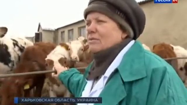 2014 02 09 Вести недели © Россия1